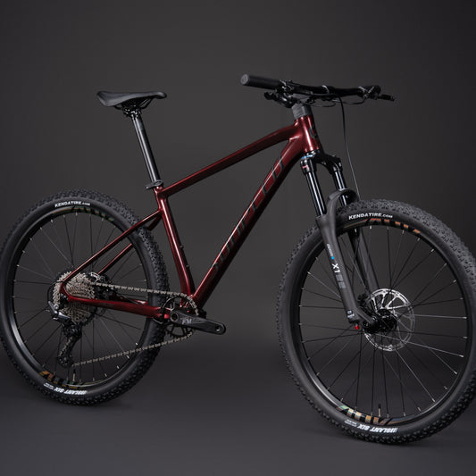 SUNPEED 2025 ACE 29" Wheels Hydraulic Disc Brake 12-speed Mountain Bike | S - L