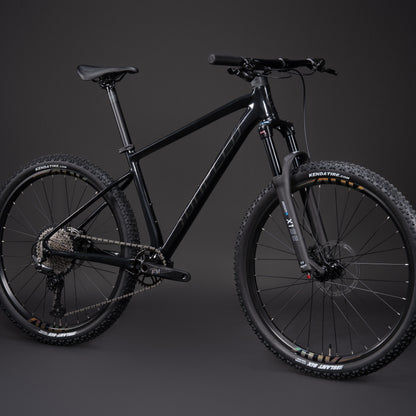 SUNPEED 2025 ACE 29" Wheels Hydraulic Disc Brake 12-speed Mountain Bike | S - L