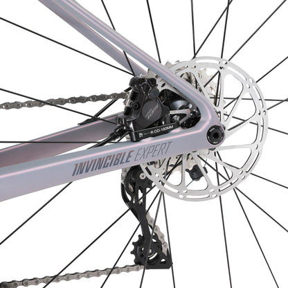 SUNPEED INVINCIBLE EXPERT Road Bike | Hydraulic Disc Brake | M, L, XL