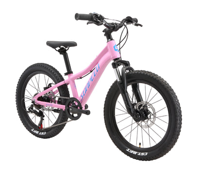 SUNPEED YOUTH 20" Wheels 7-speed Mountain Bike | 4 Colours Available