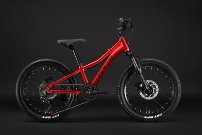 SUNPEED YOUTH 20" Wheels 7-speed Mountain Bike | 4 Colours Available
