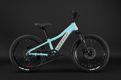 SUNPEED YOUTH 20" Wheels 7-speed Mountain Bike | 4 Colours Available
